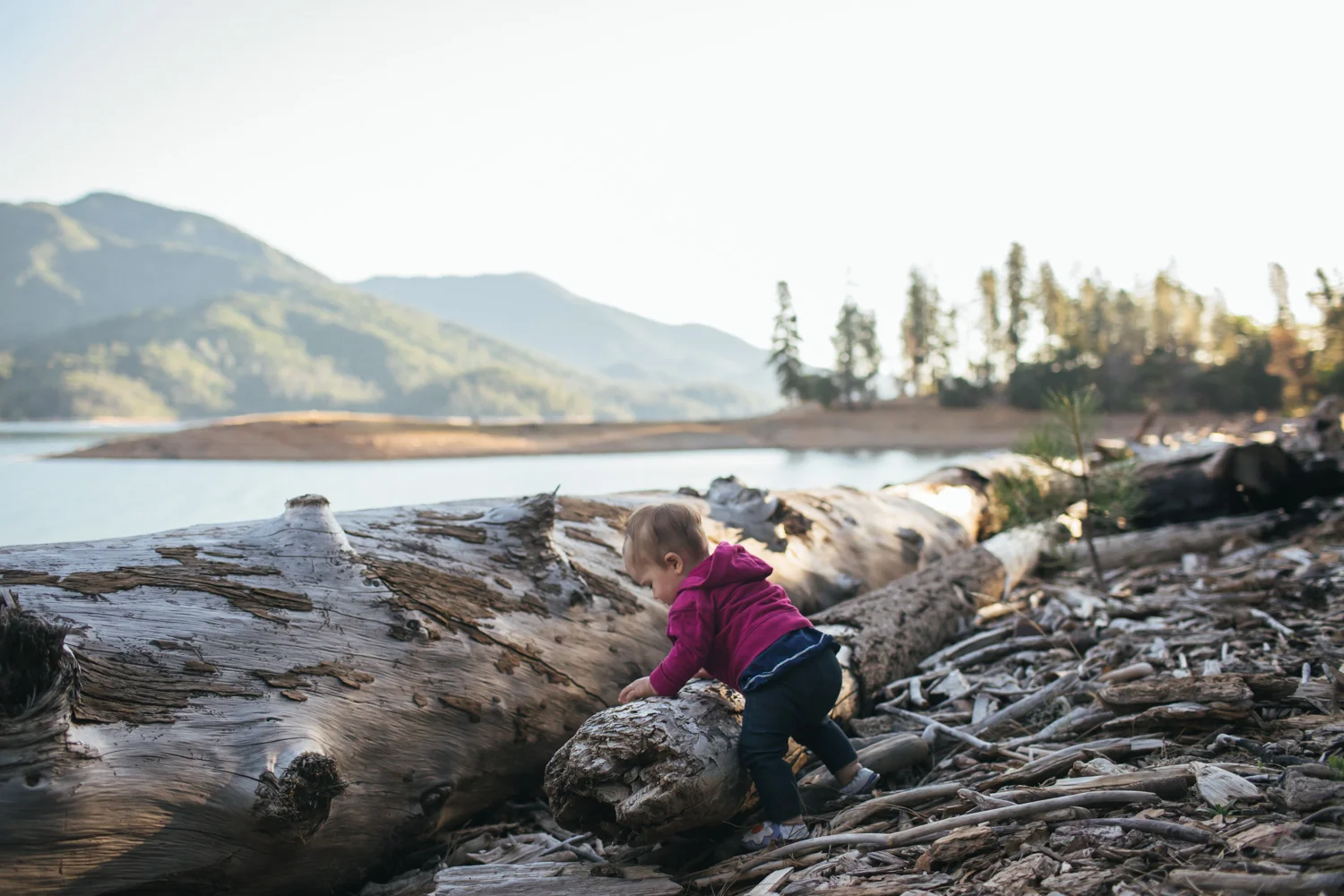 sunset and sunrise on shasta lake