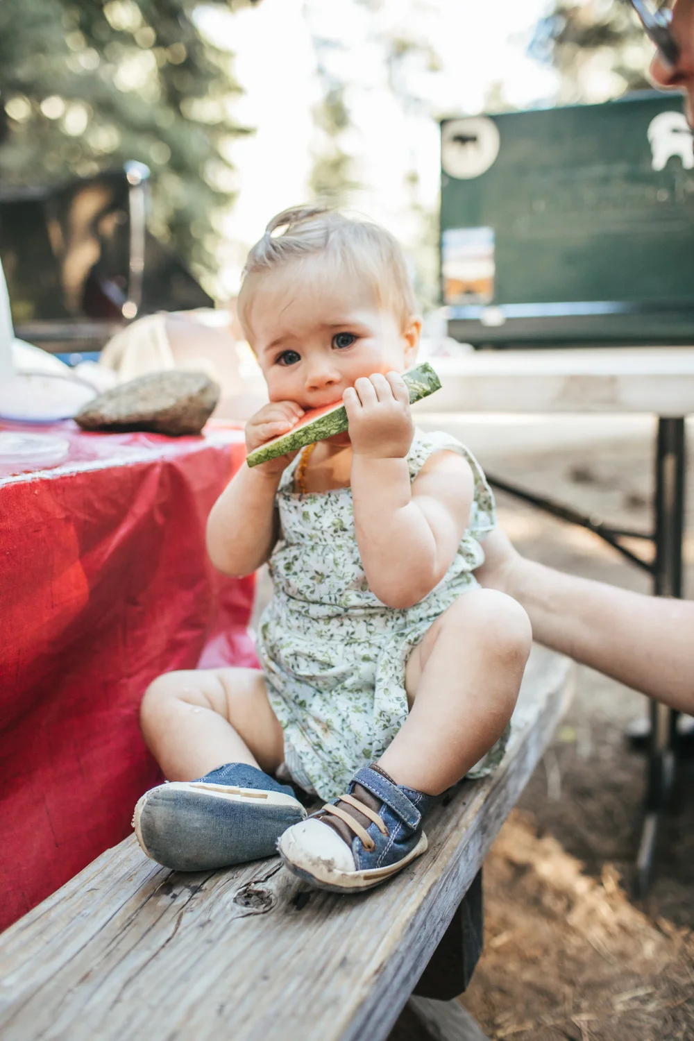 truckee-tahoe-family-photographer-11.jpg