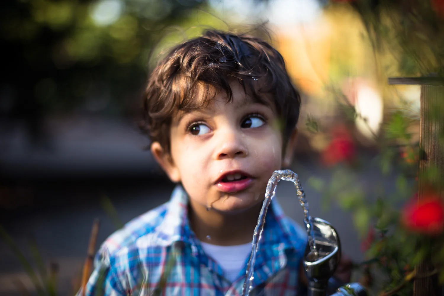 nevada-city-portrait-photographer-127.jpg