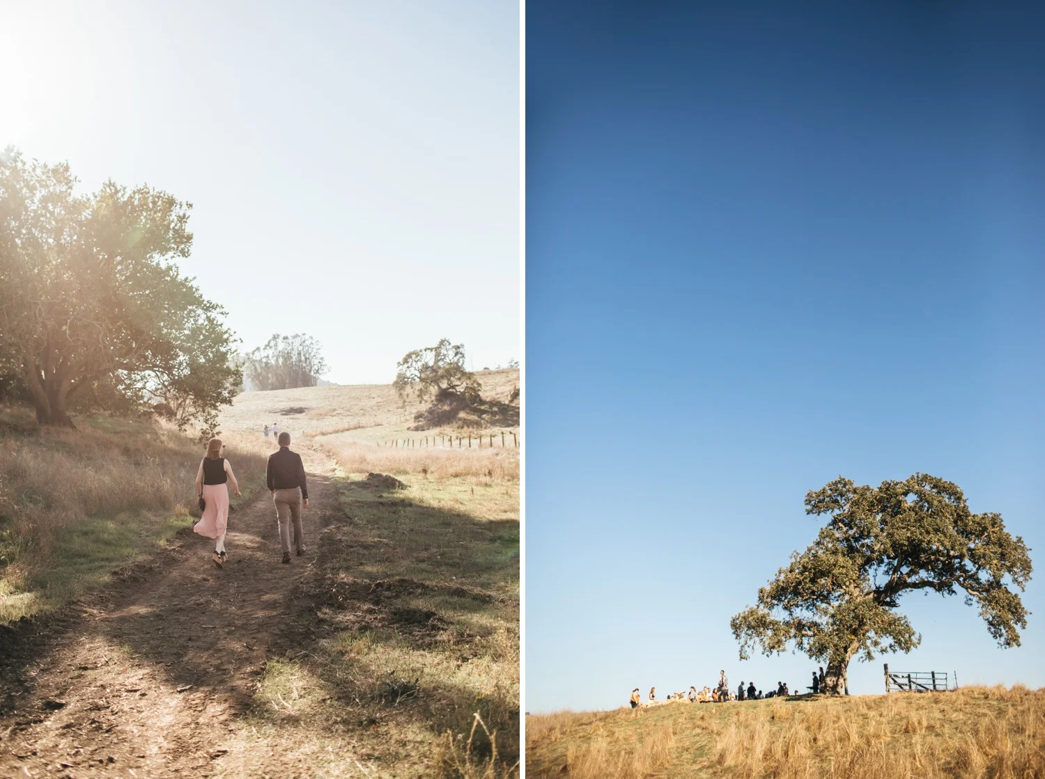 monkey-ranch-wedding-photography-petaluma-west-marin.jpg