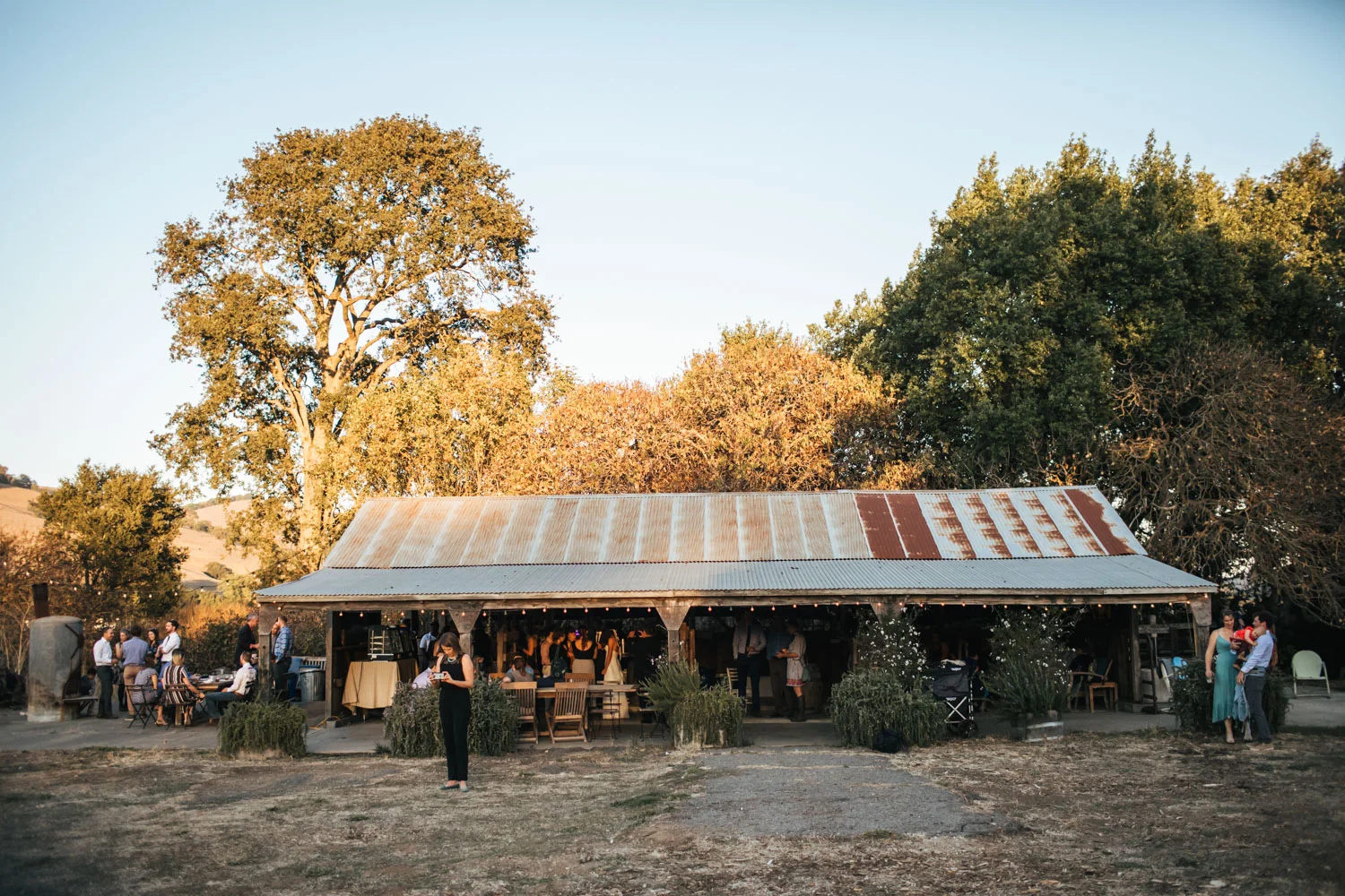 monkey-ranch-petaluma-wedding-photographer-6.jpg