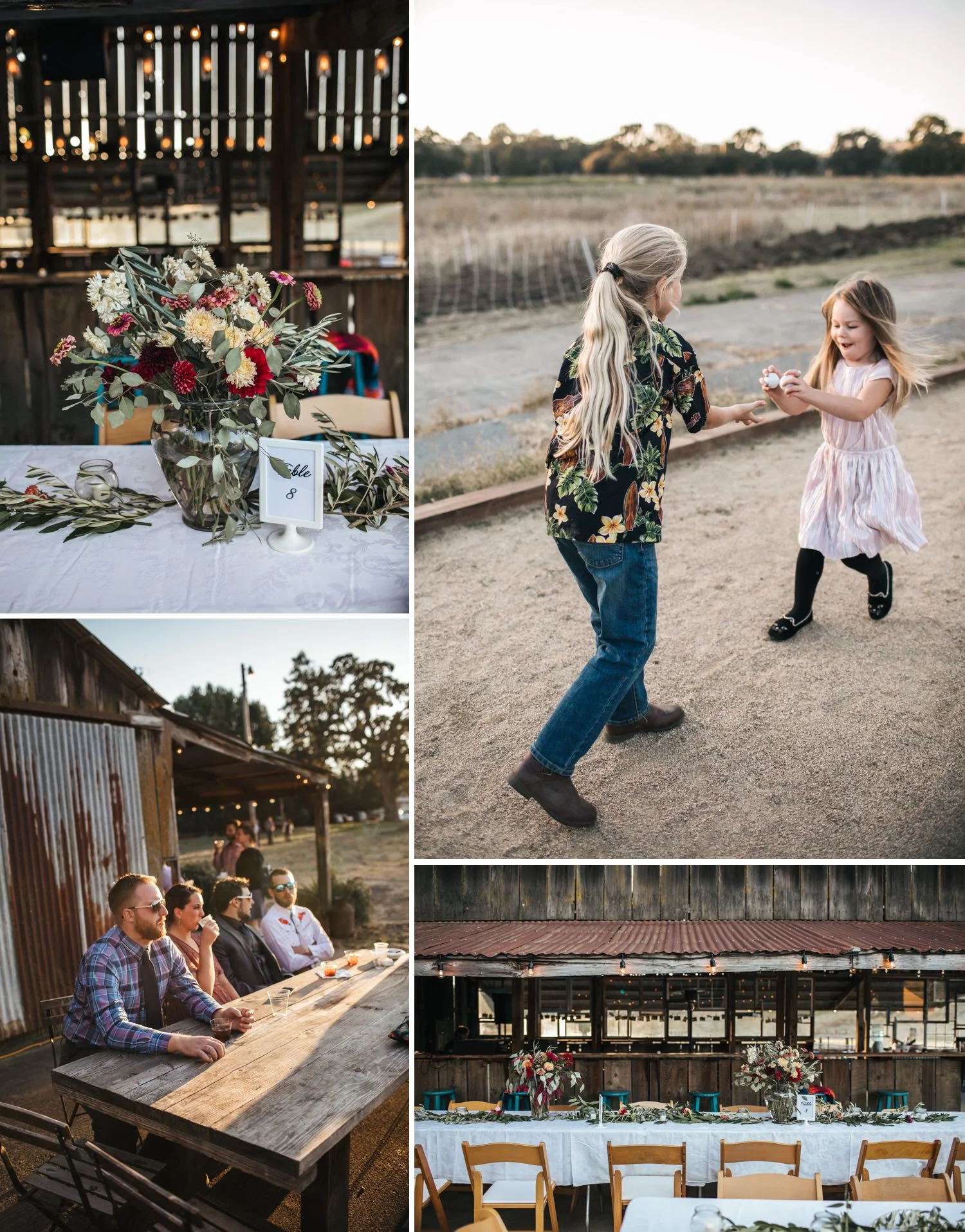 monkey-ranch-wedding-petaluma-photographer.jpg