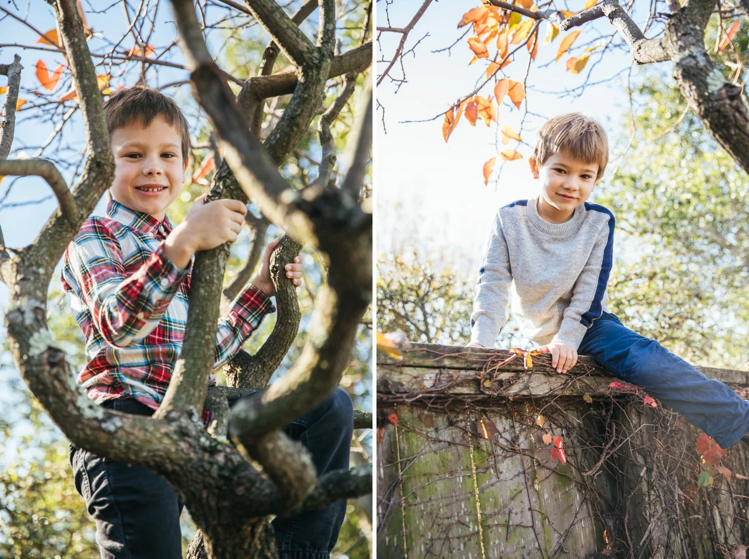 sacramento-family-portrait-photographer.jpg