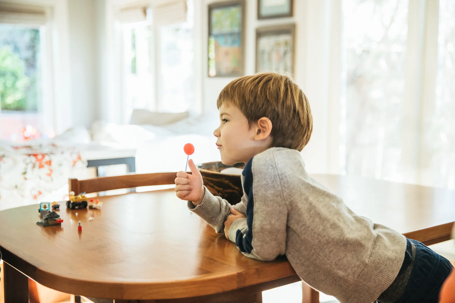sacramento-auburn-family-photographer-13.jpg