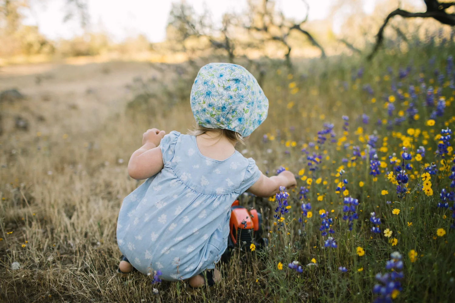 nevada-city-family-photographer-1.jpg