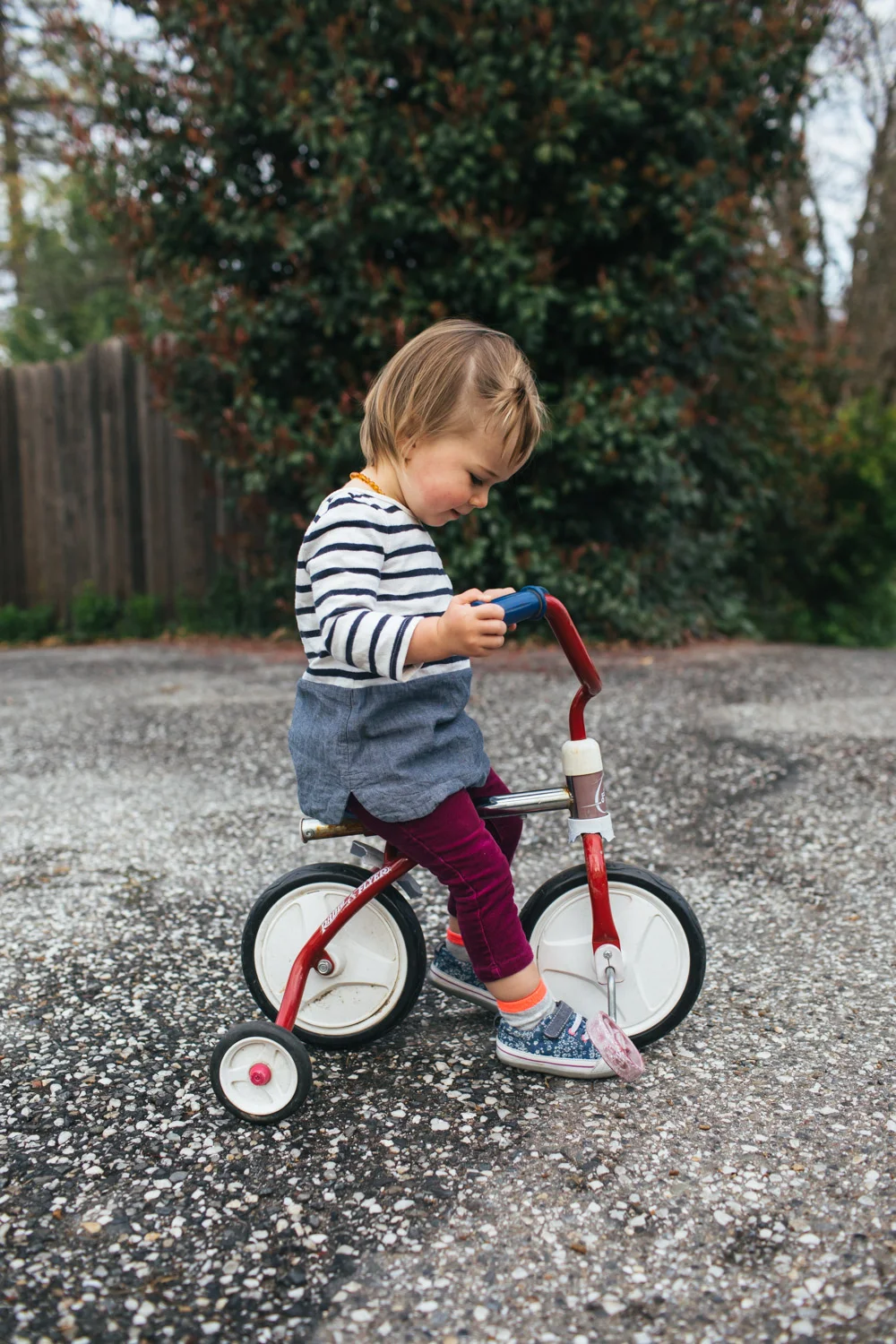 grass-valley-child-photographer-1.jpg