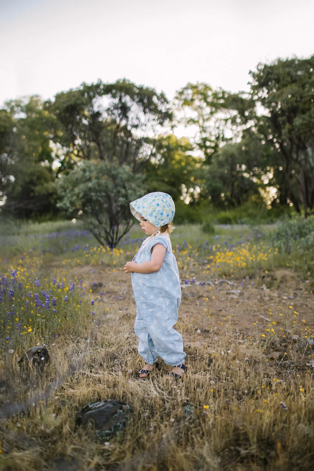 nevada-city-family-photographer-3.jpg