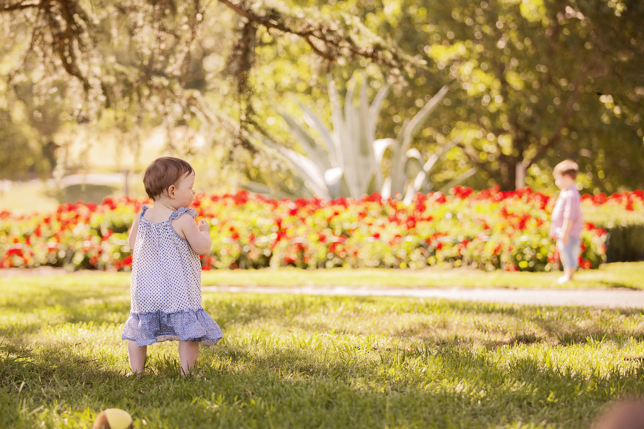 Kiraly_0356 as Smart Object-1.jpg