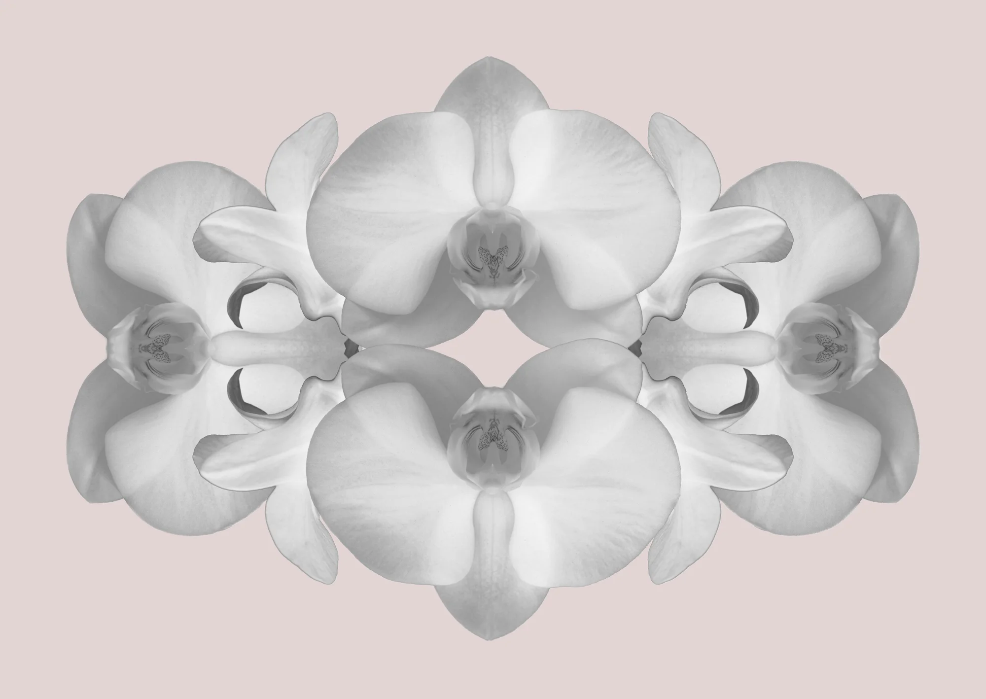 FLower motif.jpg