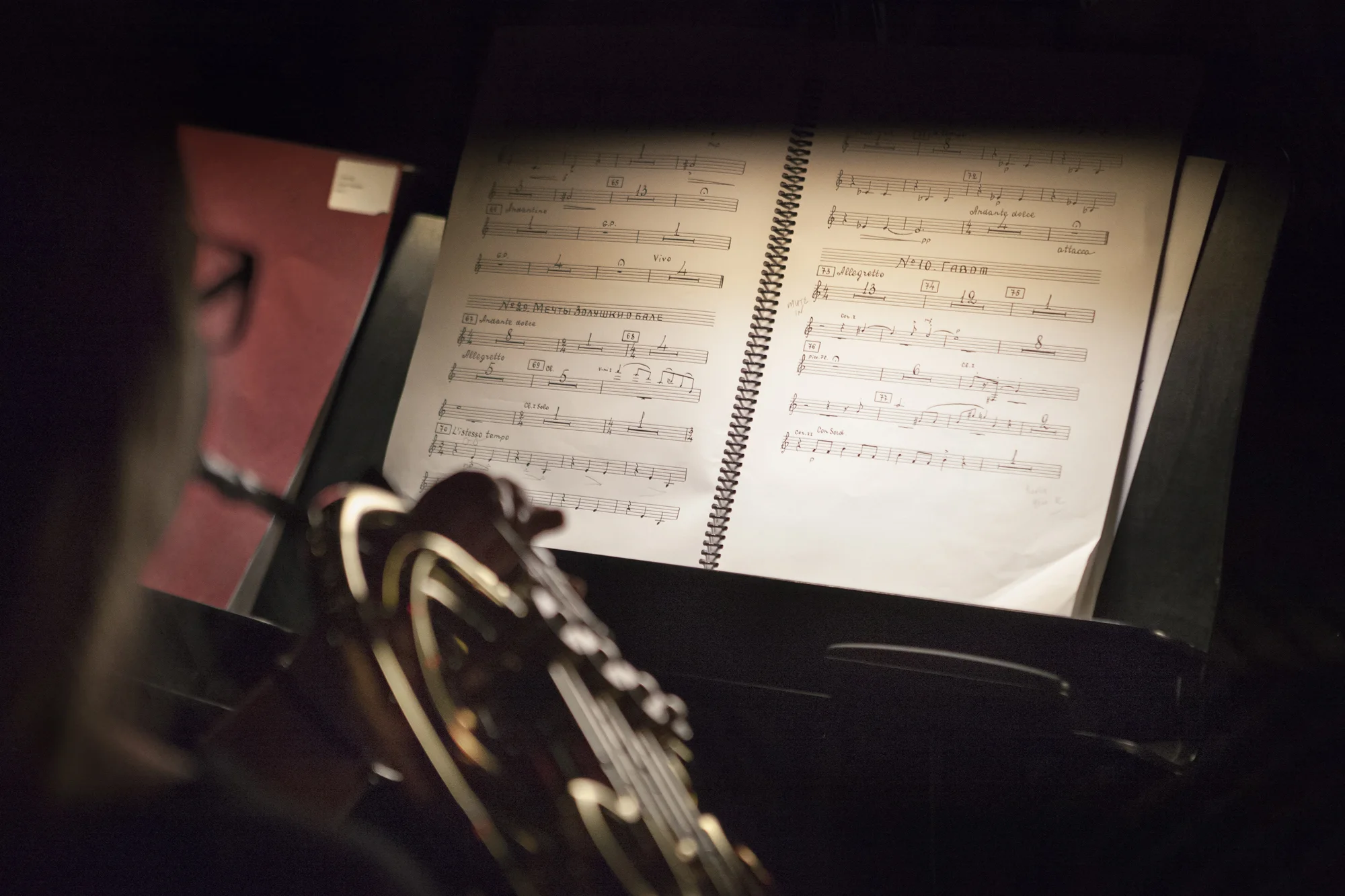 MarisaHo_Orchestra_20130927_0146.jpg