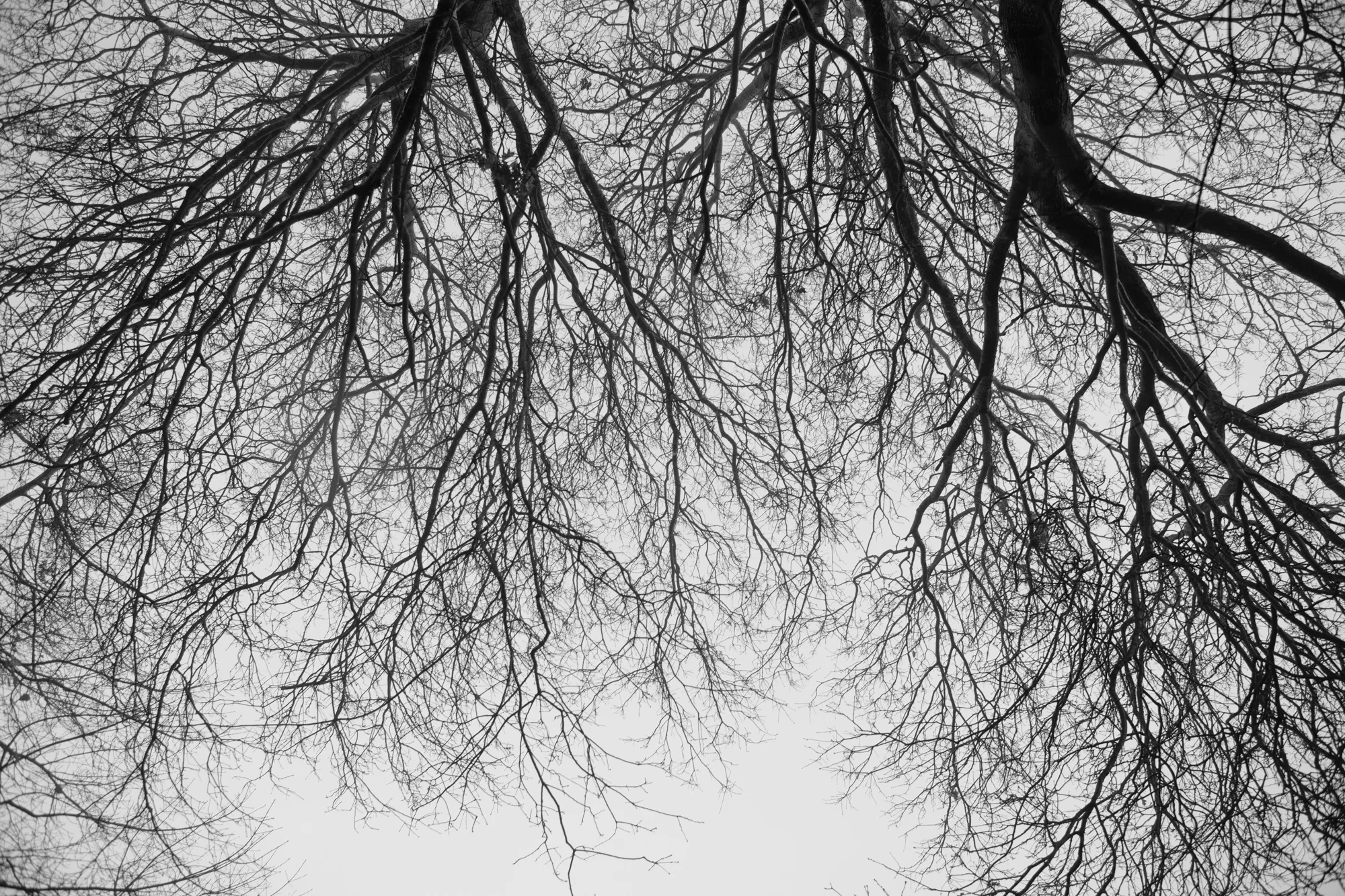 20180603_1024-1_B&W dark blues.jpg