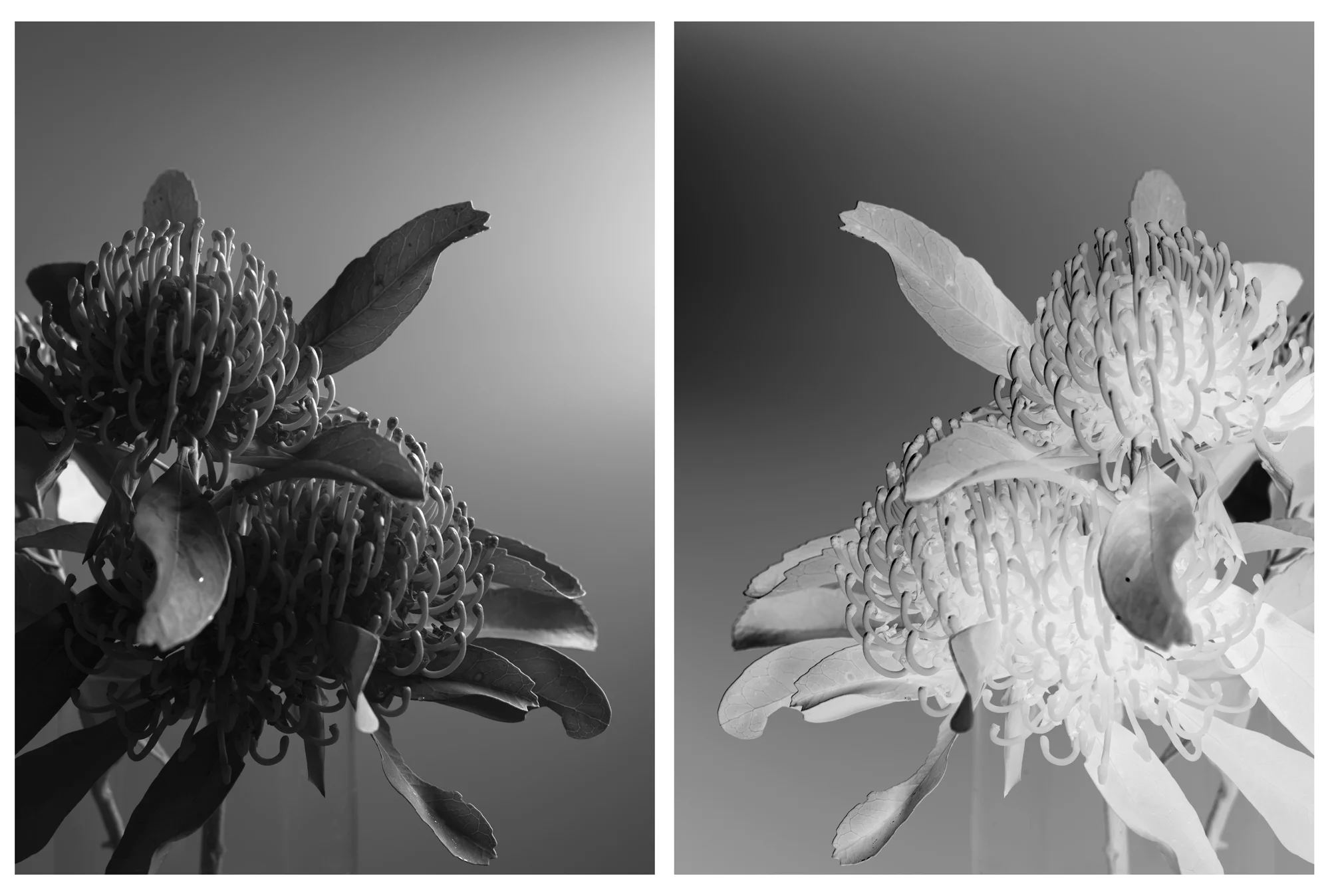 Untitled-3.jpg