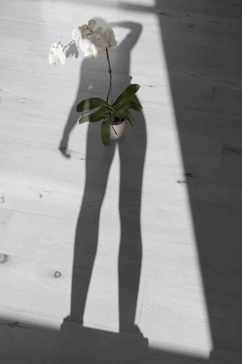 Mother is She 04.jpg