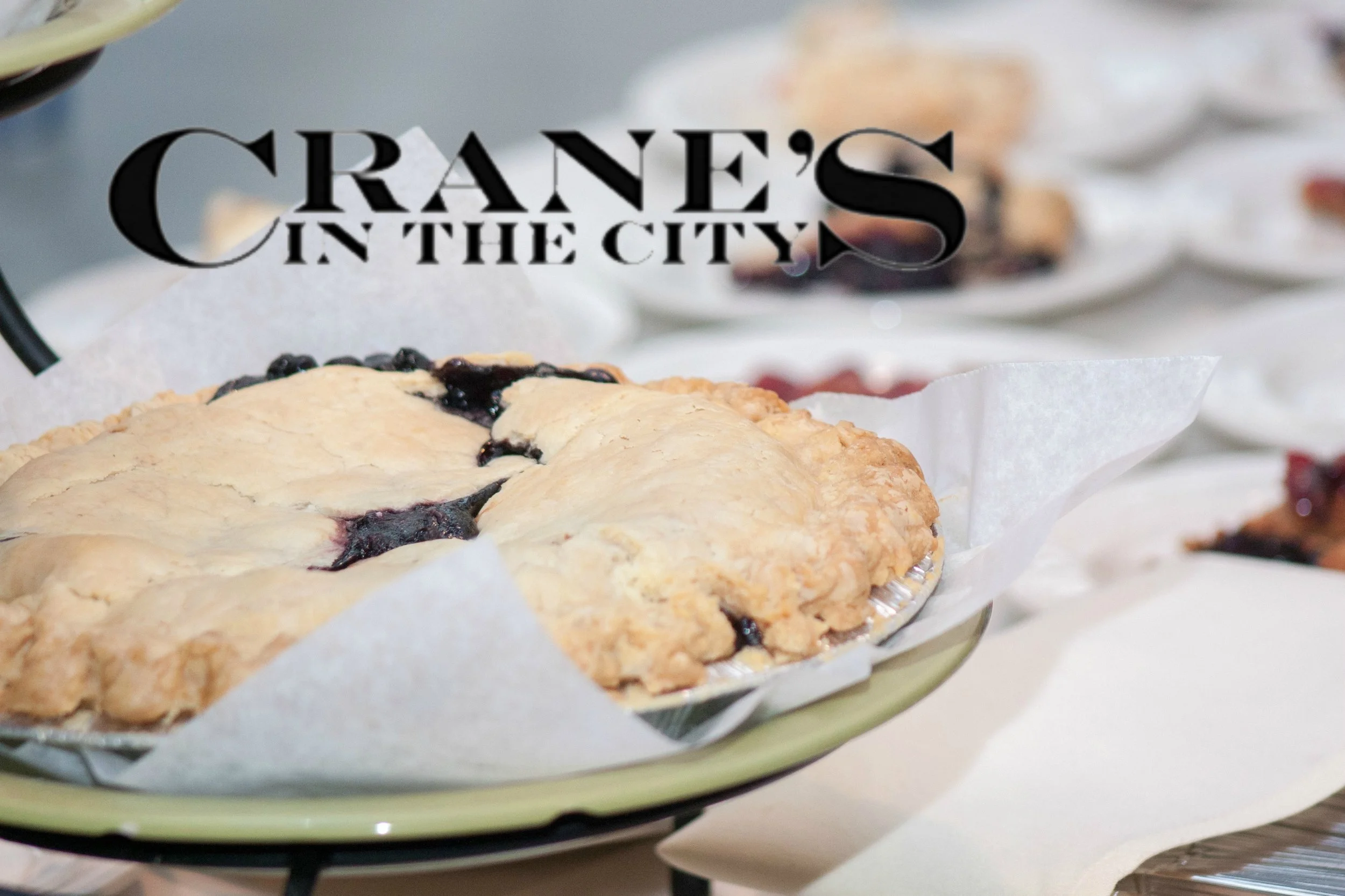 Blueberry Pie Logo2.jpg