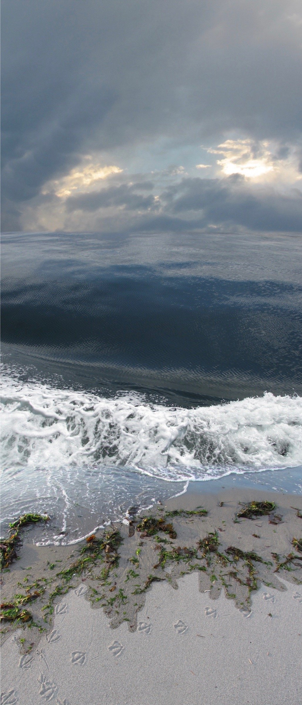 CONVERGENCE III  (crop for web).jpeg