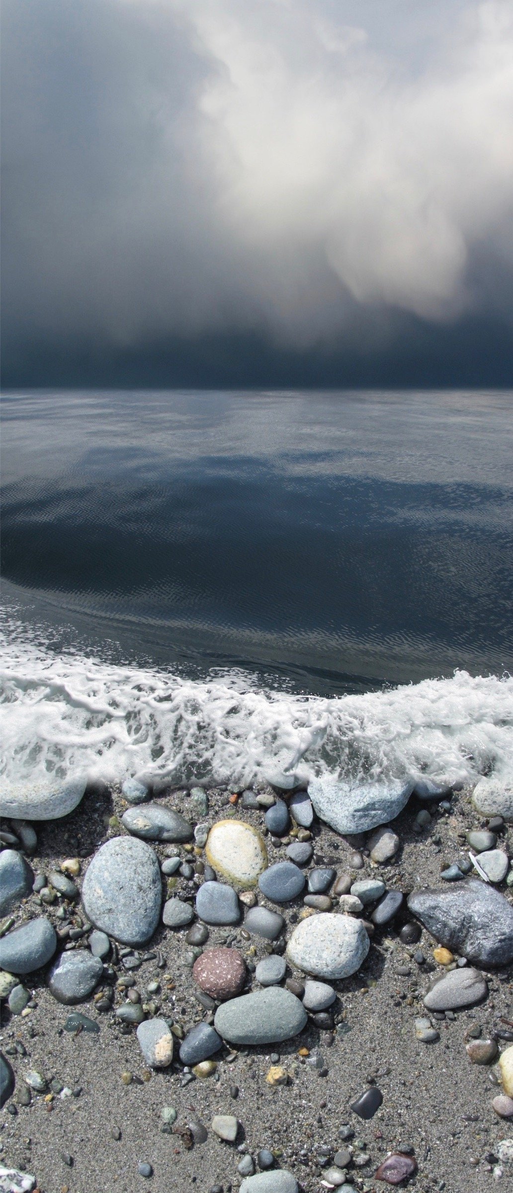 CONVERGENCE XV  (crop for web).jpeg