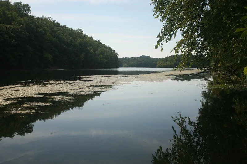 Catskills6.jpg