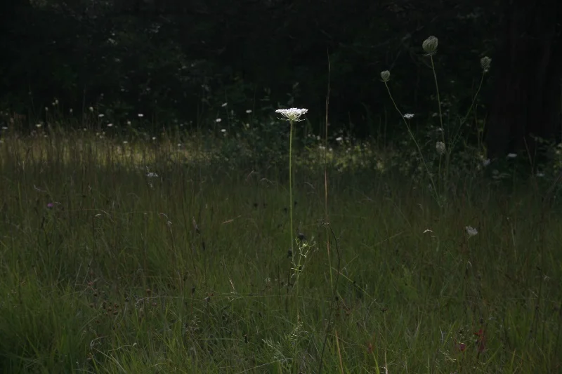 Catskills3.jpg