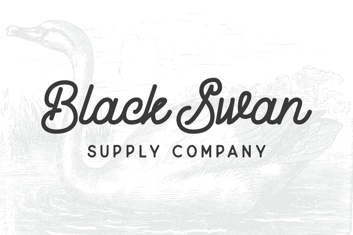 blackswan-supply-company-.jpeg