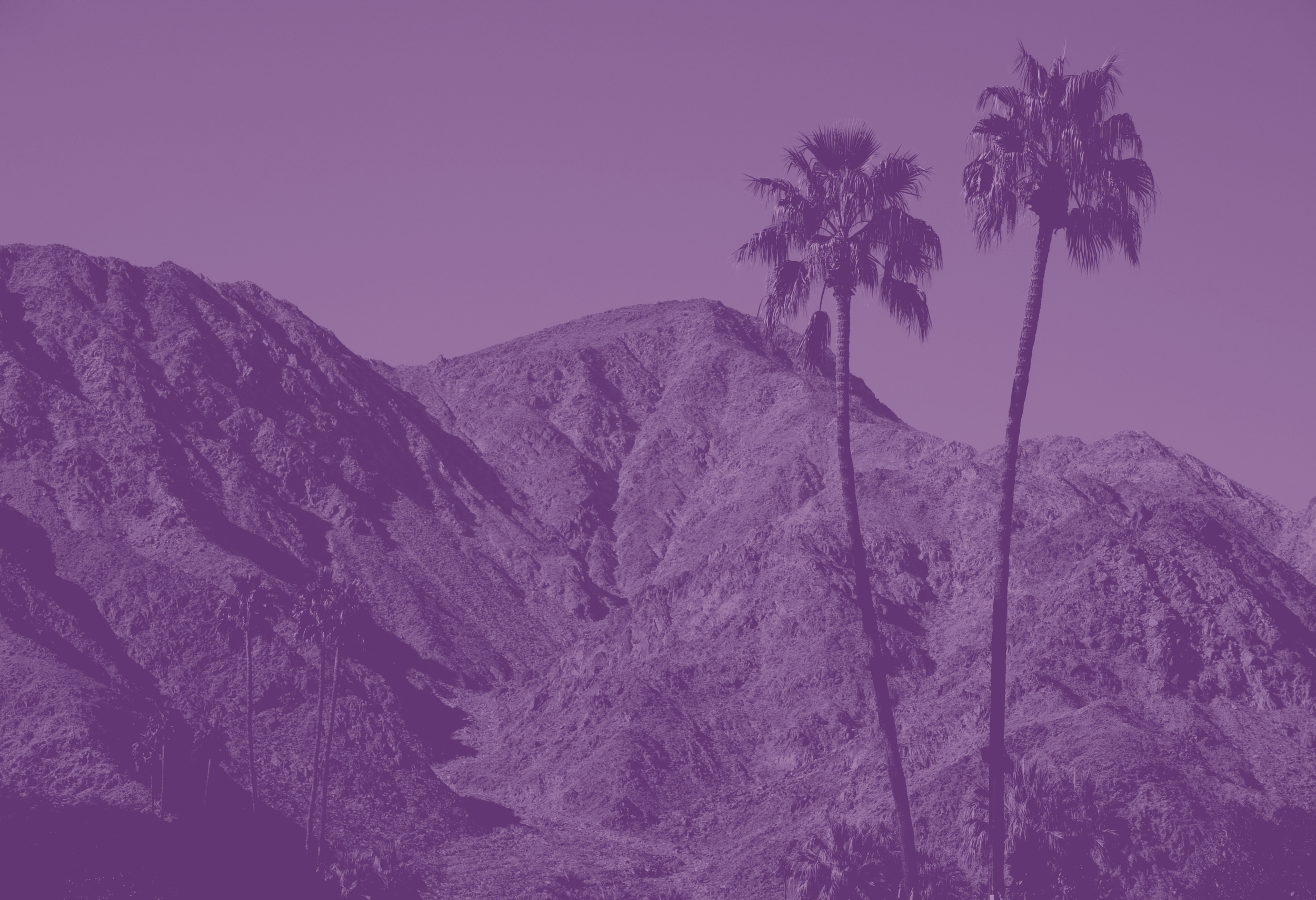 designervacaheaderimage.jpg