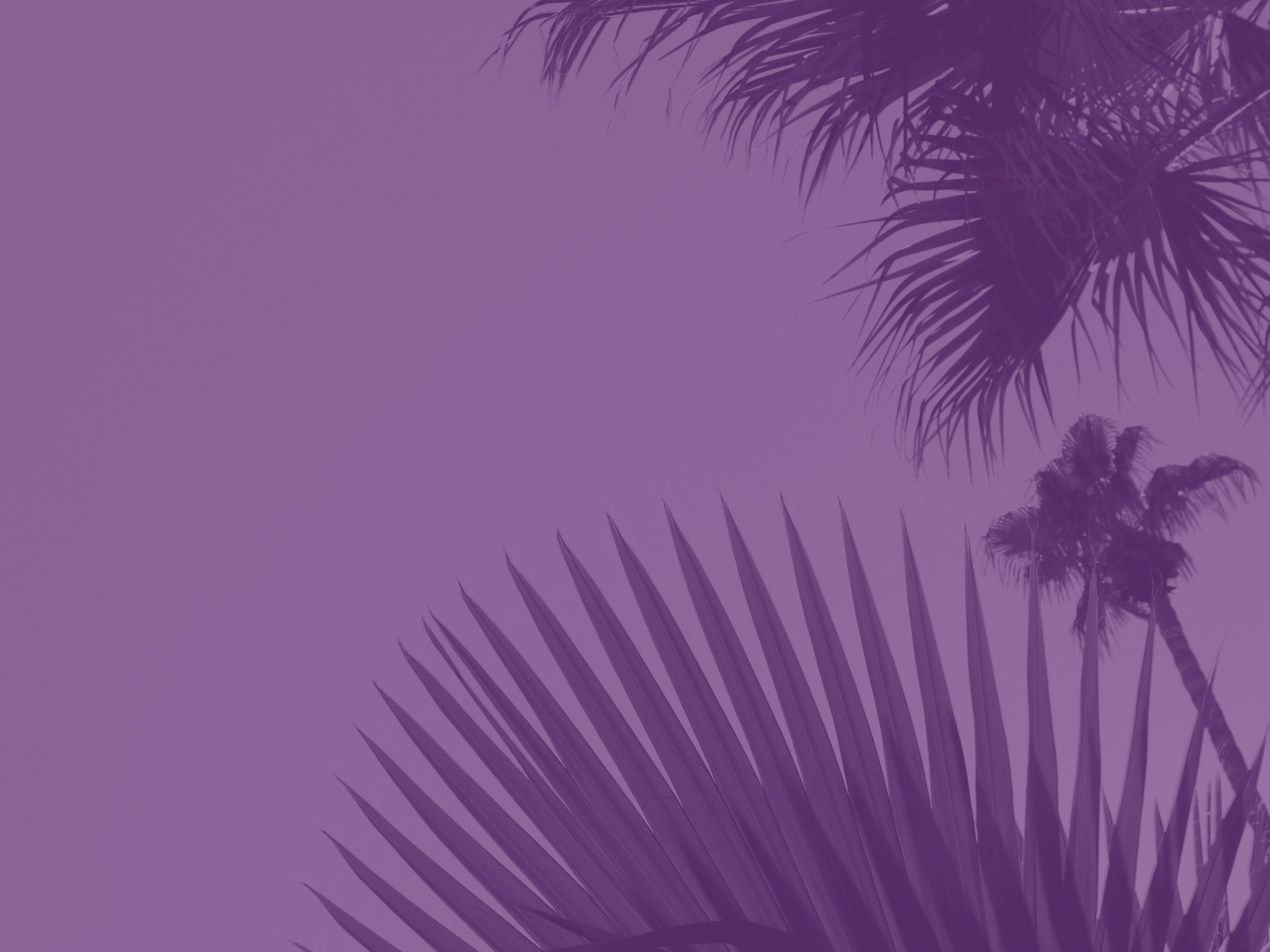 iStock_000050932938XLargepurpledark.jpg