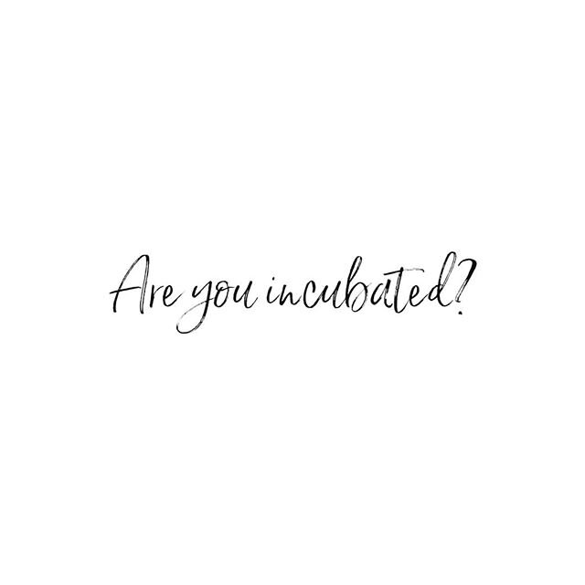 Or have you hatched before you are ready? Alot of times in life we move because we go with our gut feeling or our emotions you know &quot; the butterfly effect&quot; and it turns out it was superficial. As women of God we want to be move with the sup