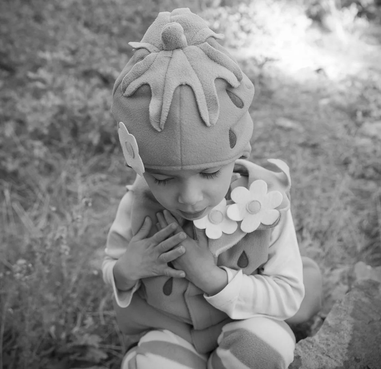 _MG_0286 strawberry.jpg