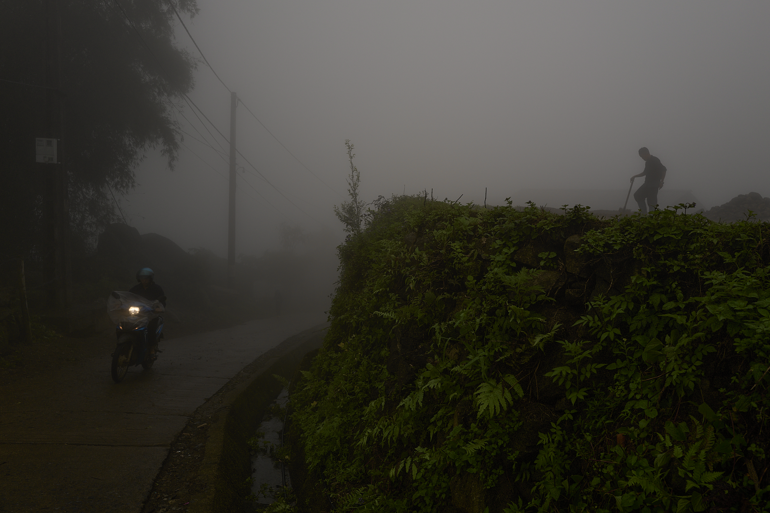 L1100569.png