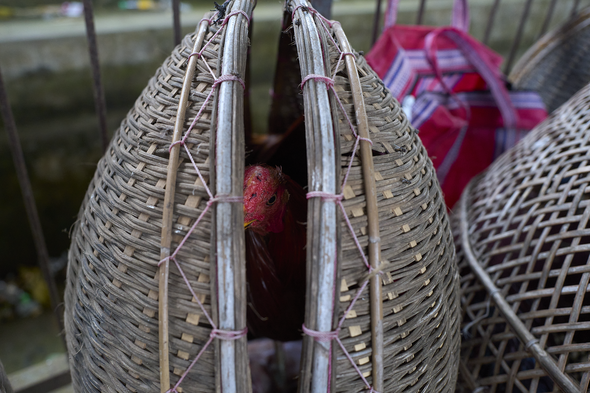 L1102315.png