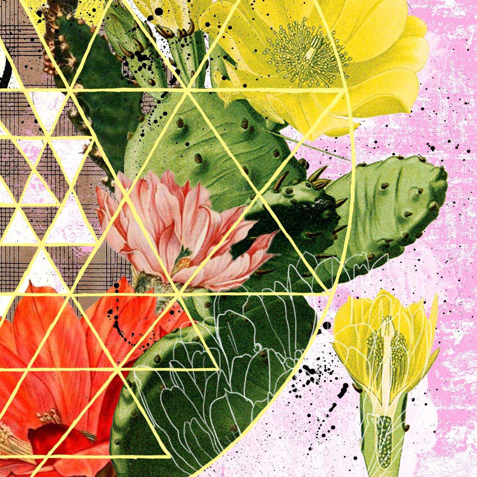 Cactus Flower Mandala - Fine Art Print  shelley kommers