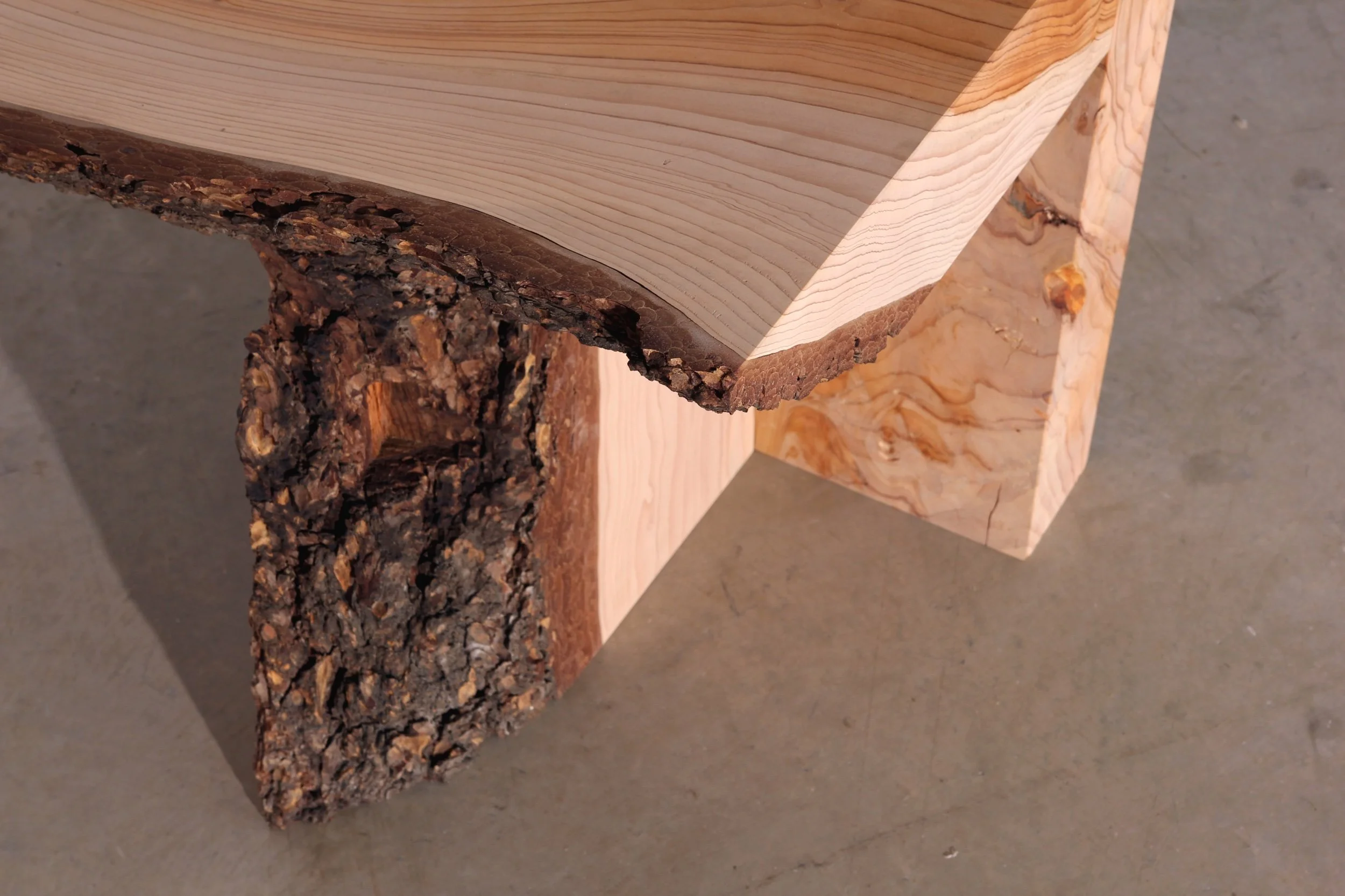 andrew carvolth - june 2023 - 41.jpeg