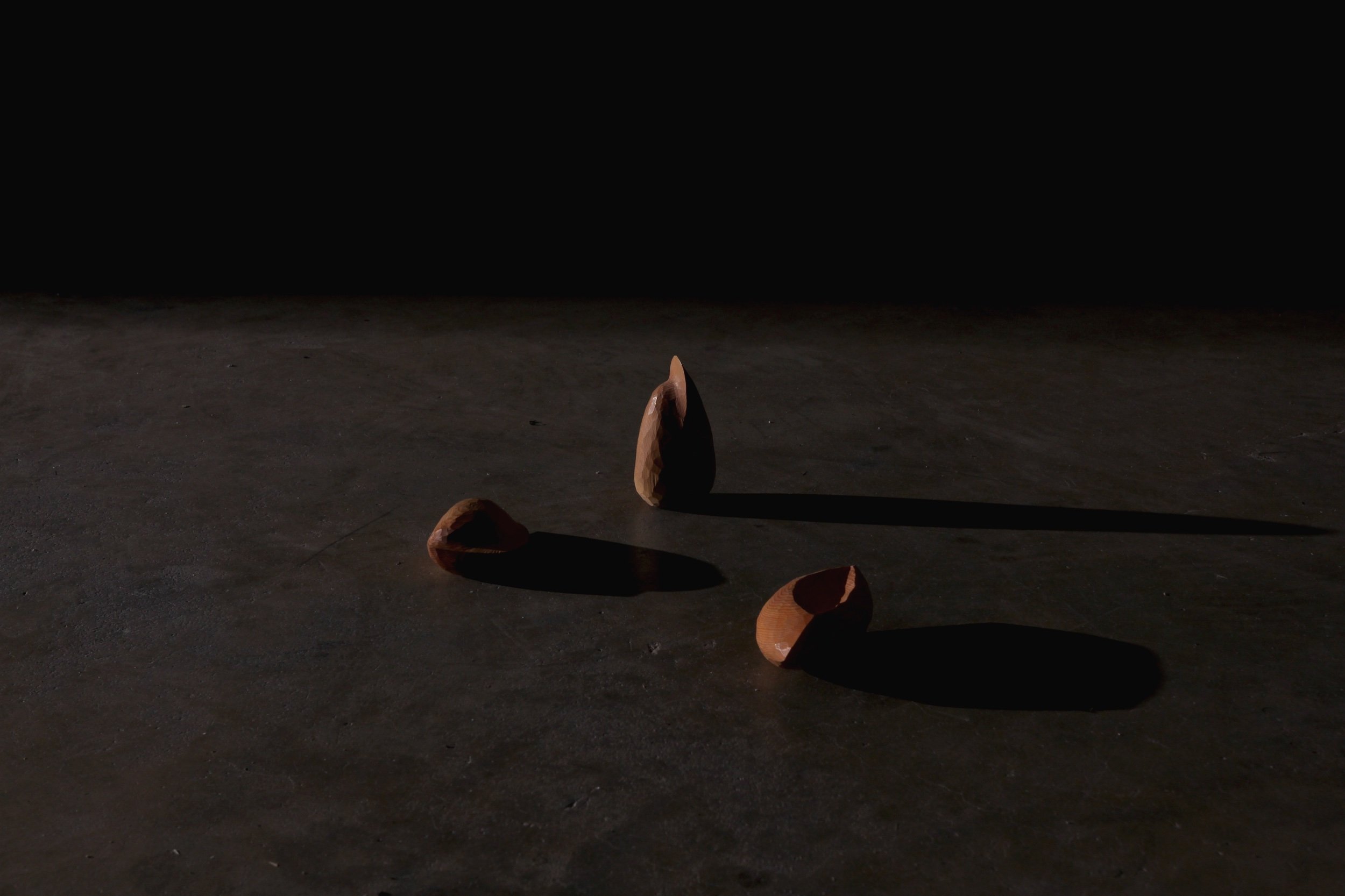 andrew carvolth - june 2023 - 90.jpeg