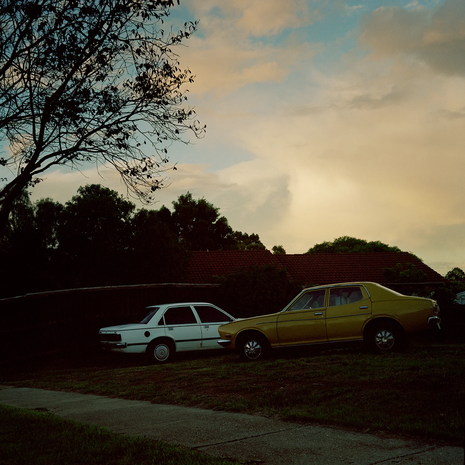 Andrew_McLaughlin-s2_03.jpg