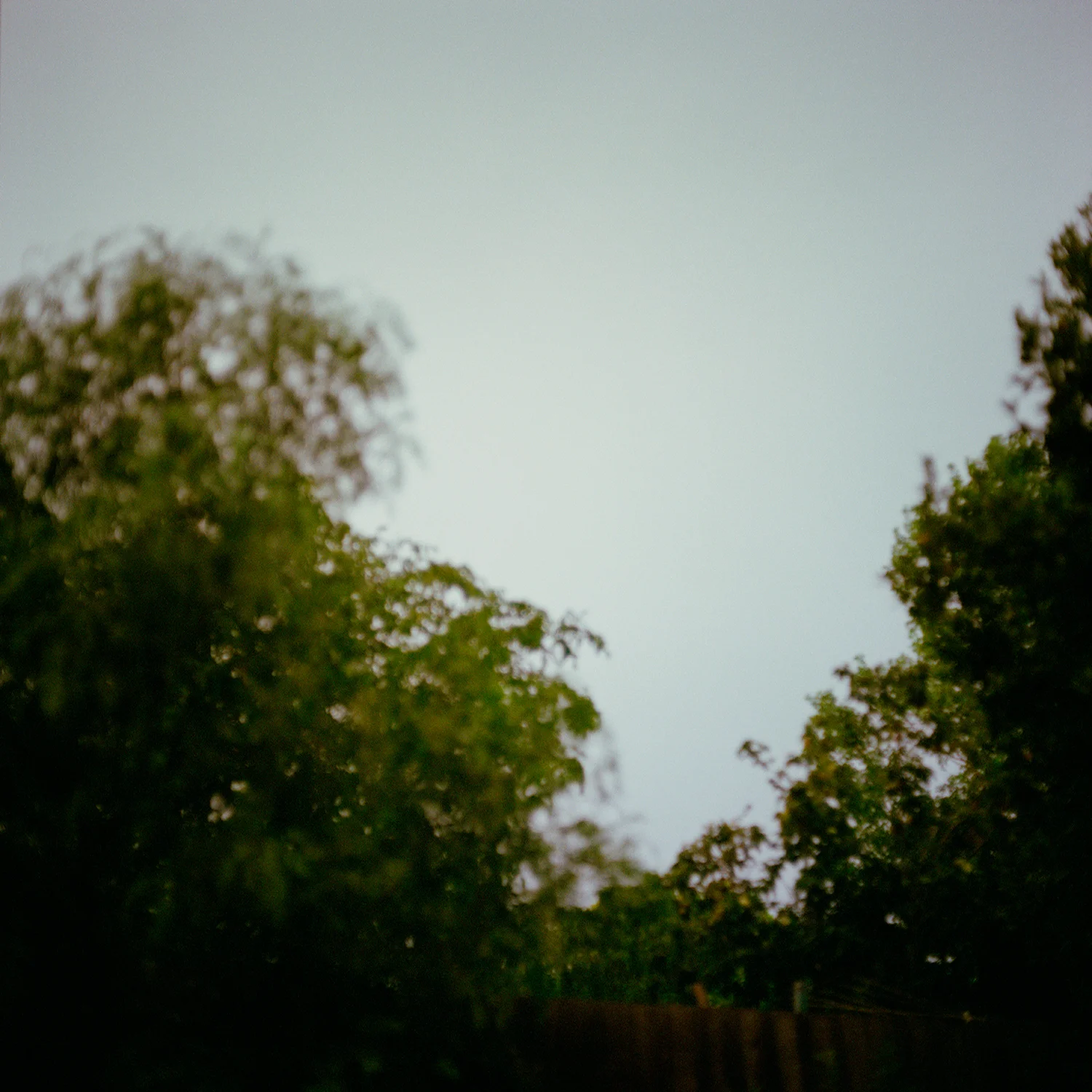 Andrew_McLaughlin-s2_27.jpg