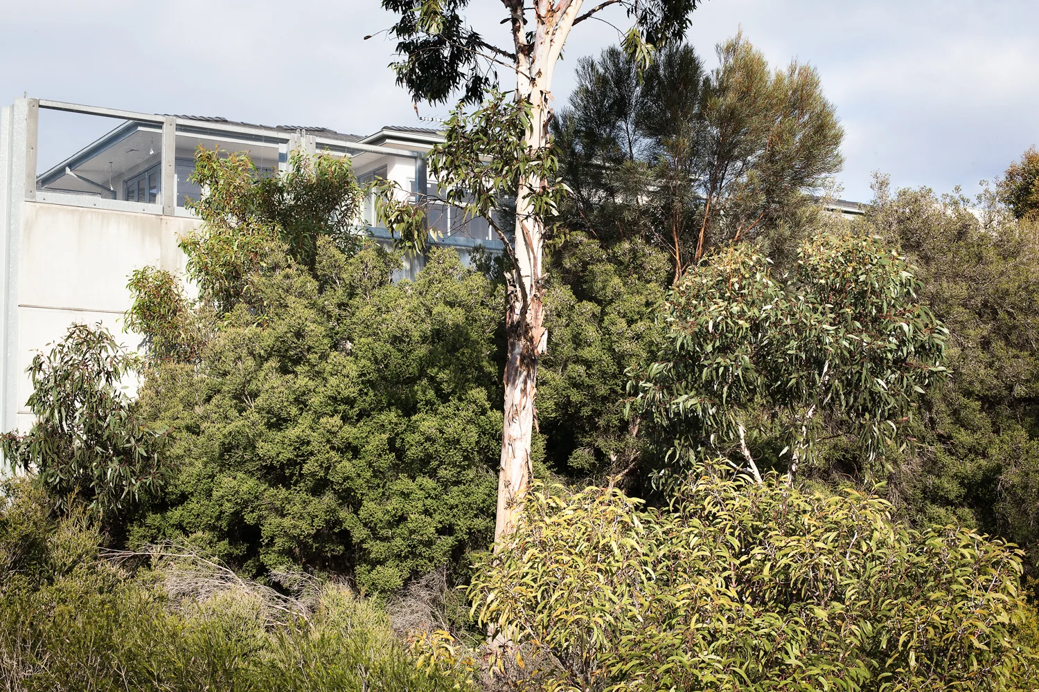 Andrew_McLaughlin-s3_14.jpg