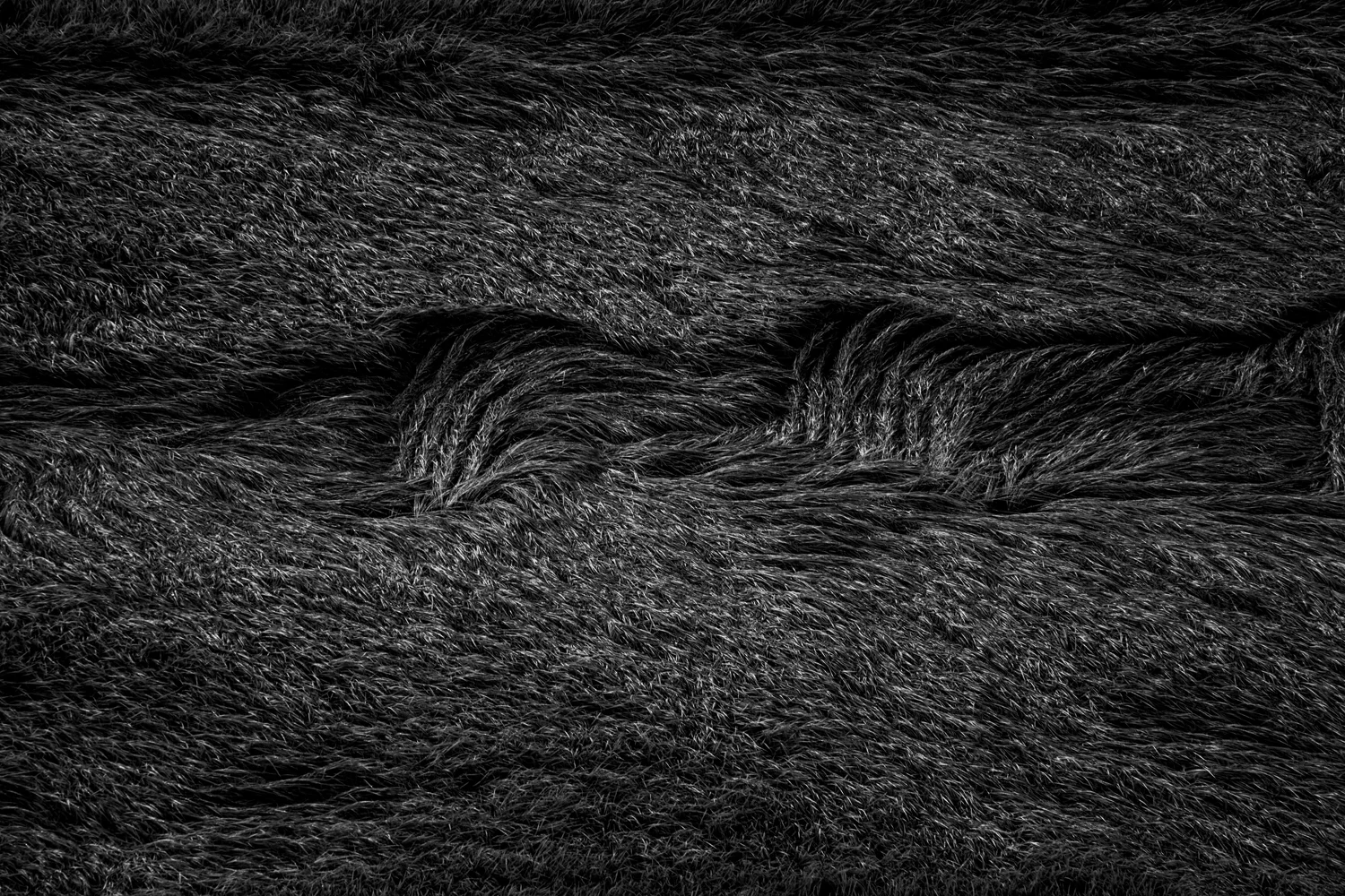 ” Landscape #9″ 2014 / photograph / ed.15 / 32.9×48.3cm (sheet)50.8x61cm(flamed)