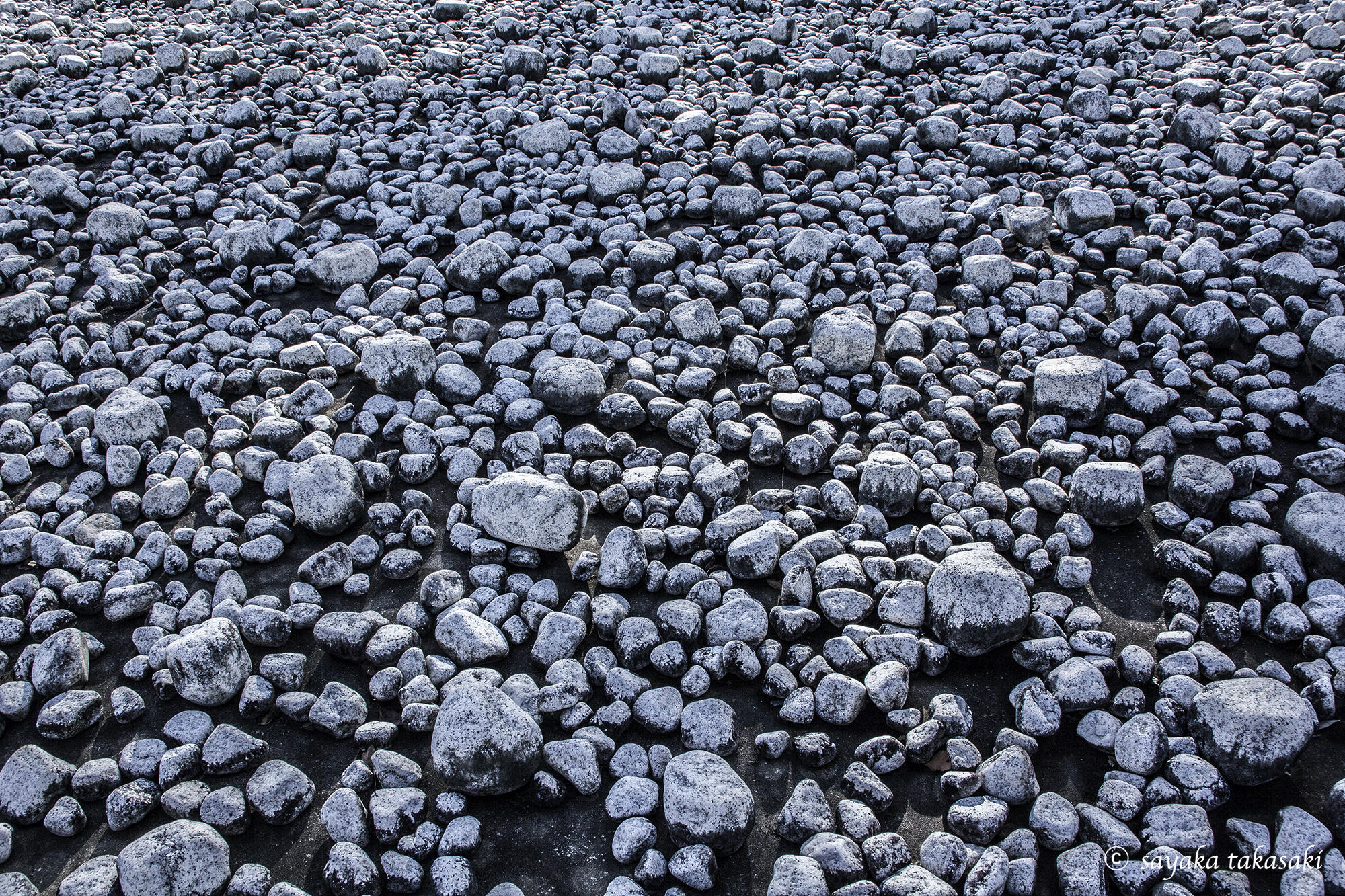 "Landscape Ⅲ #3" Photograph / 2016 / ed15 / H508×W610 mm