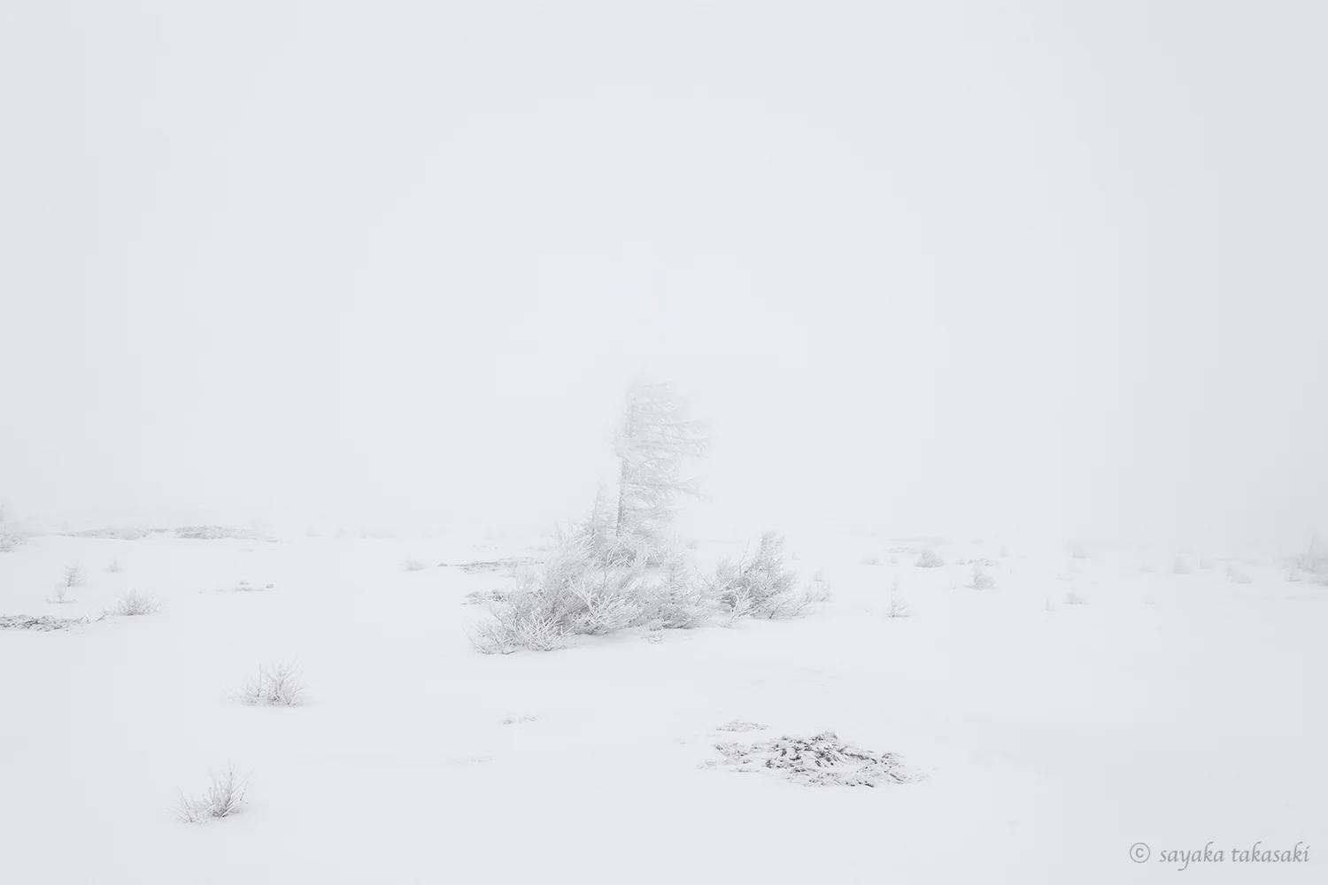 "DISTANCE #1" Photograph / 2017 / ed15 / H508×W610 mm