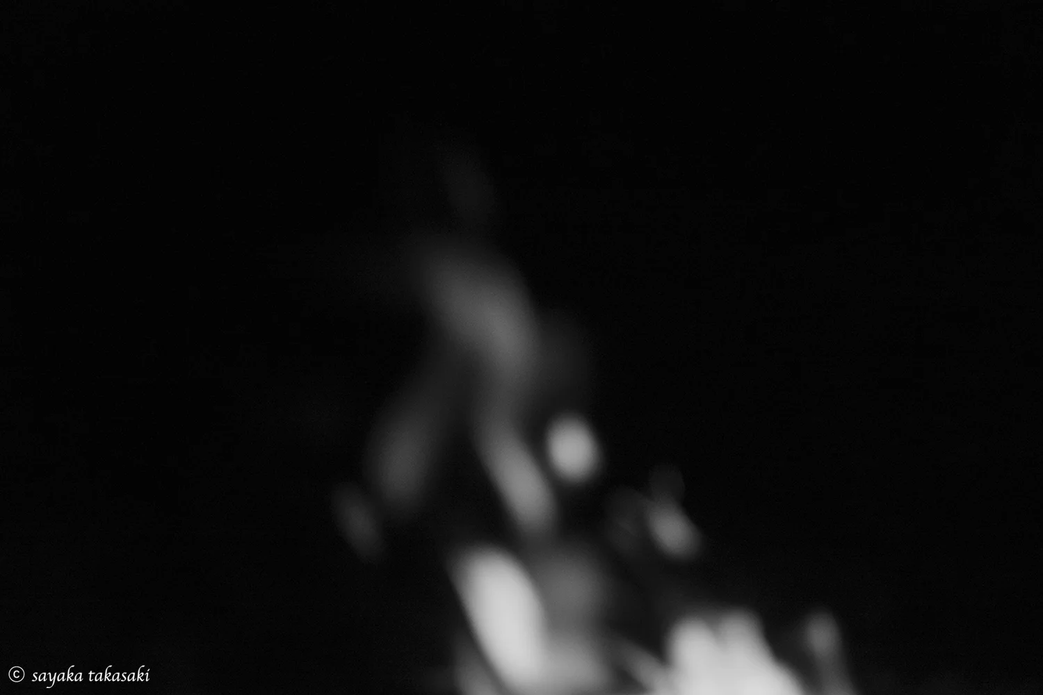 “nothing #7” Photograph / 2019 / ed15 / H356×W279mm