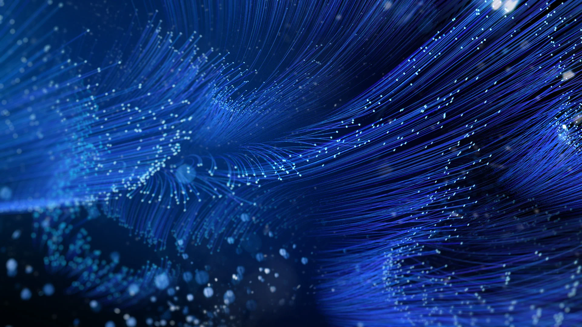 DTV_InstallationA_Jen_Fr01.jpg