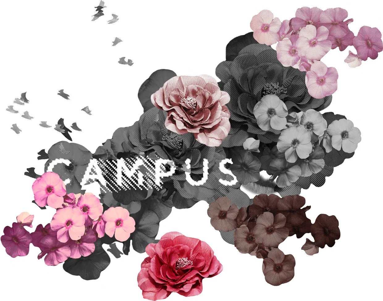 MarcOPoloCampus72_L.WilhelmDesign6.jpg
