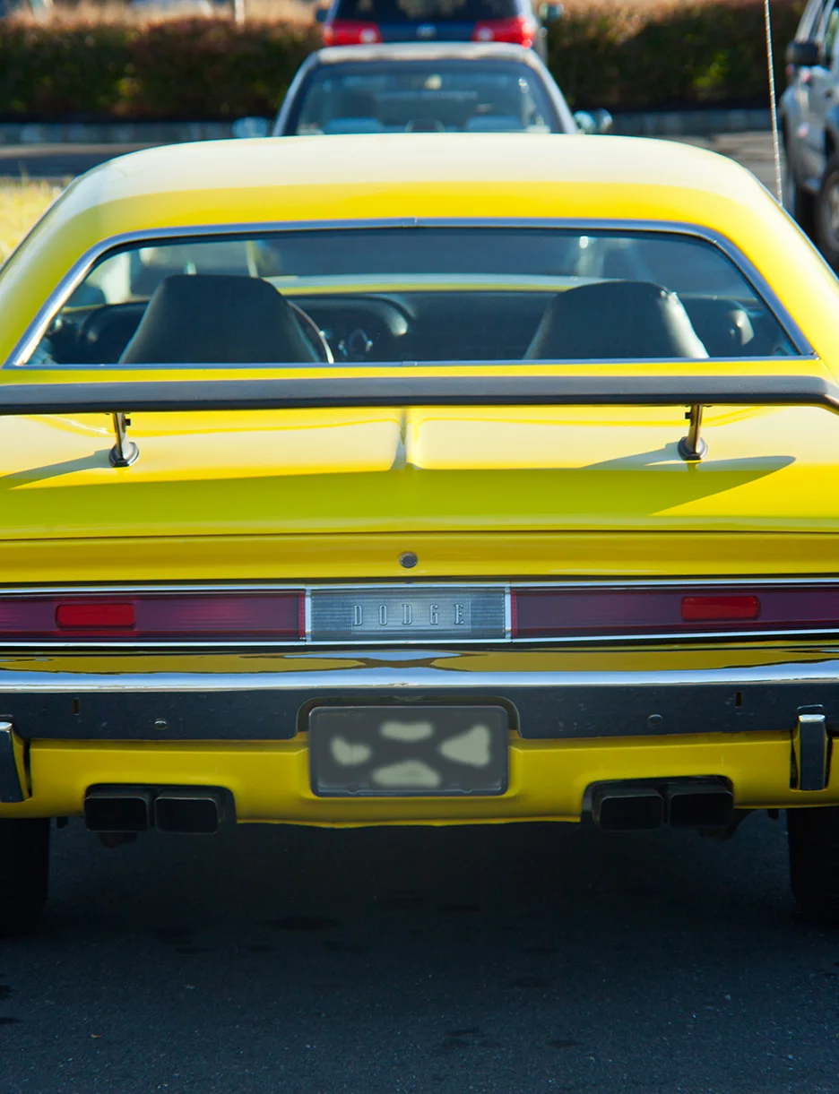_MG_4937.jpg