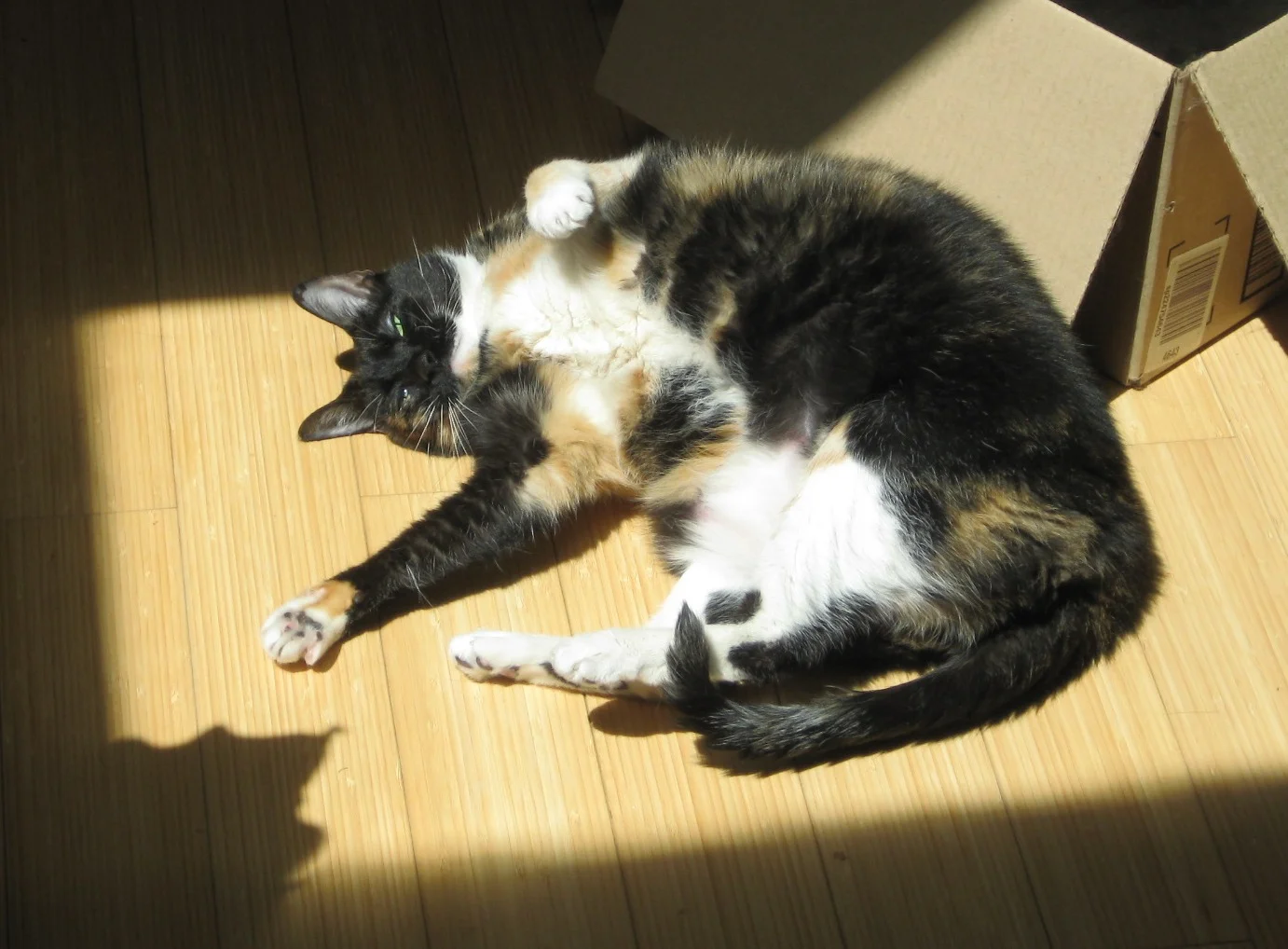 Angie in the sun