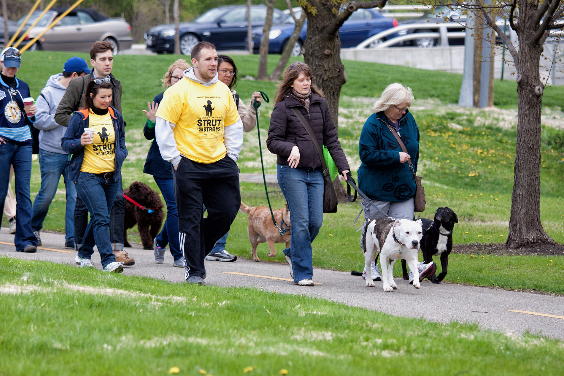 Strut for Strays 2013