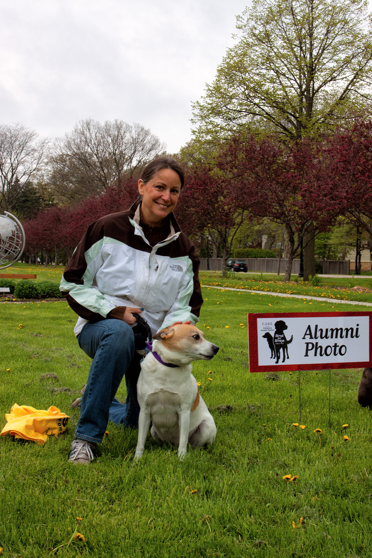 Strut for Strays 2013