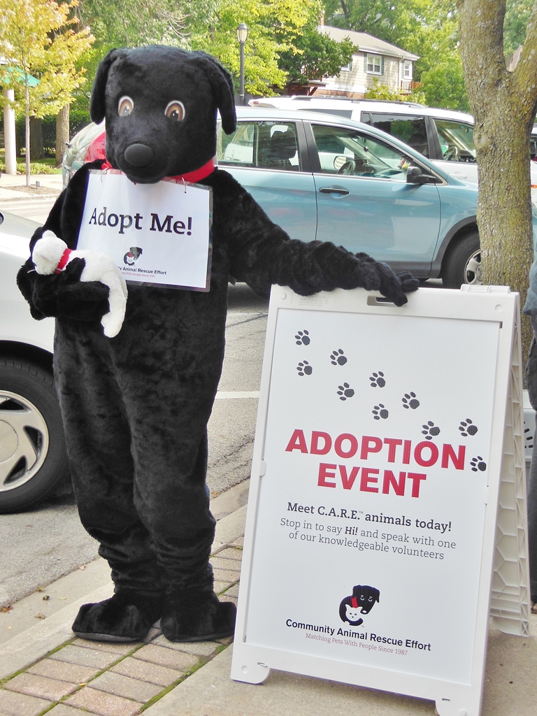 The C.A.R.E. Mascots can be found at many of our events.