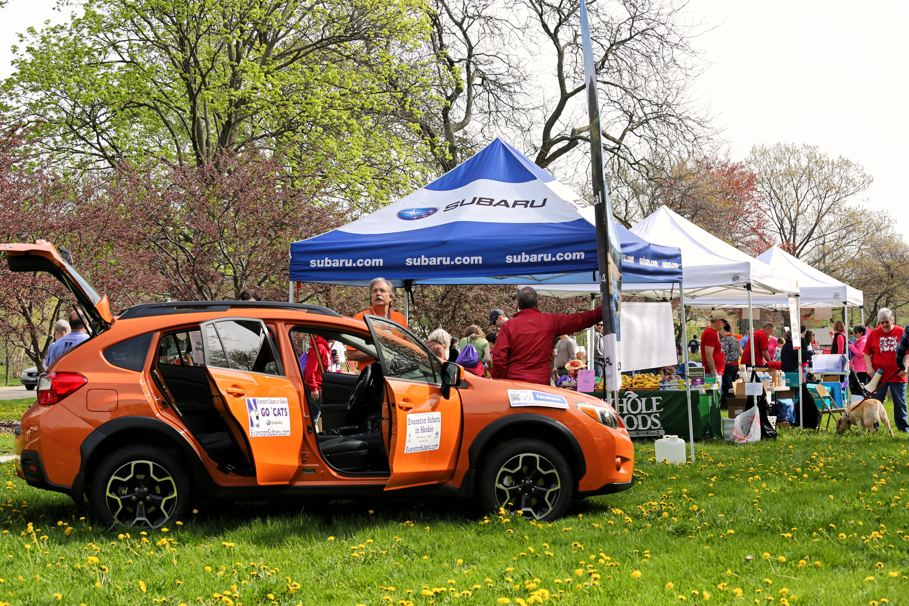 2014 Strut for Strays
