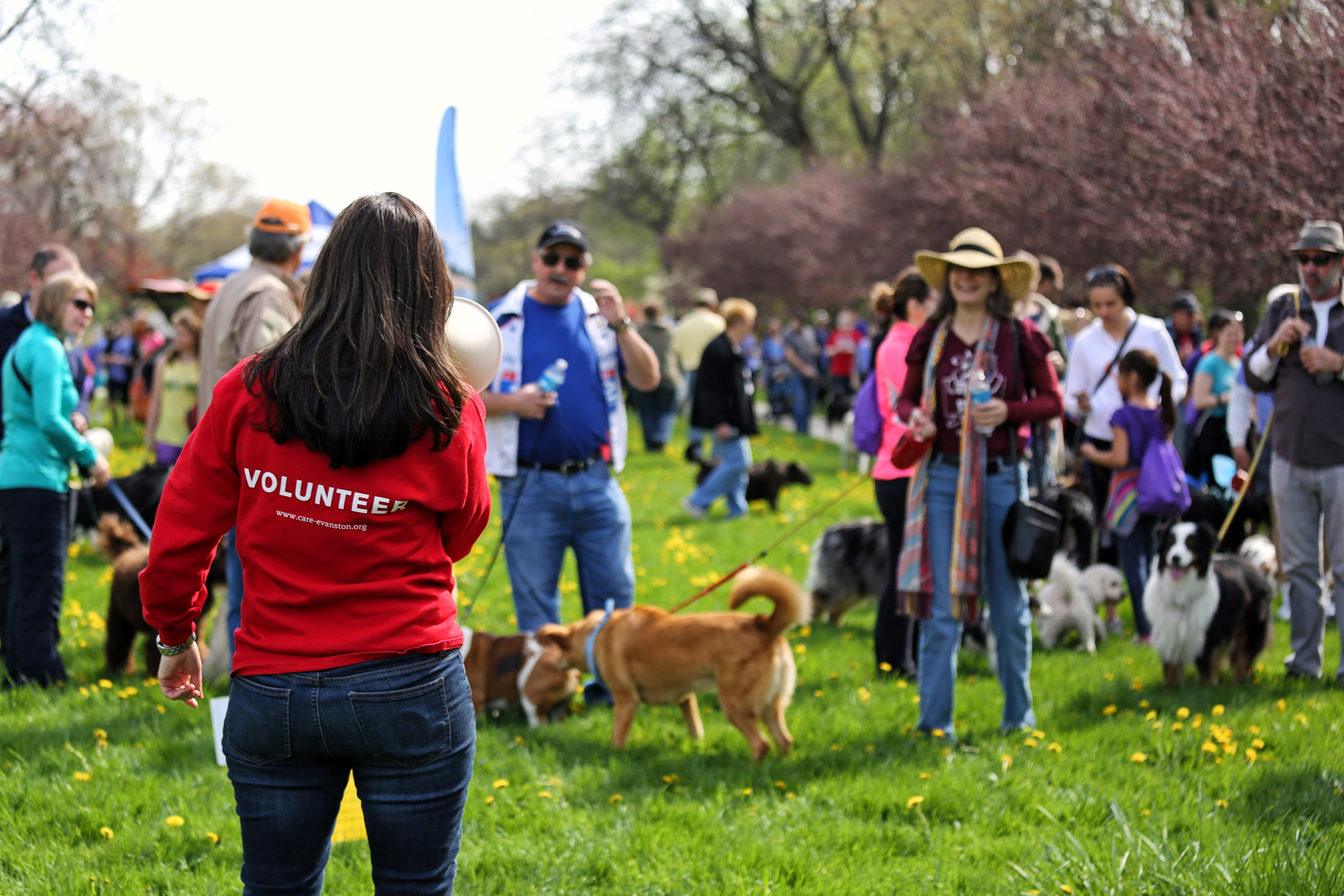 2014 Strut for Strays