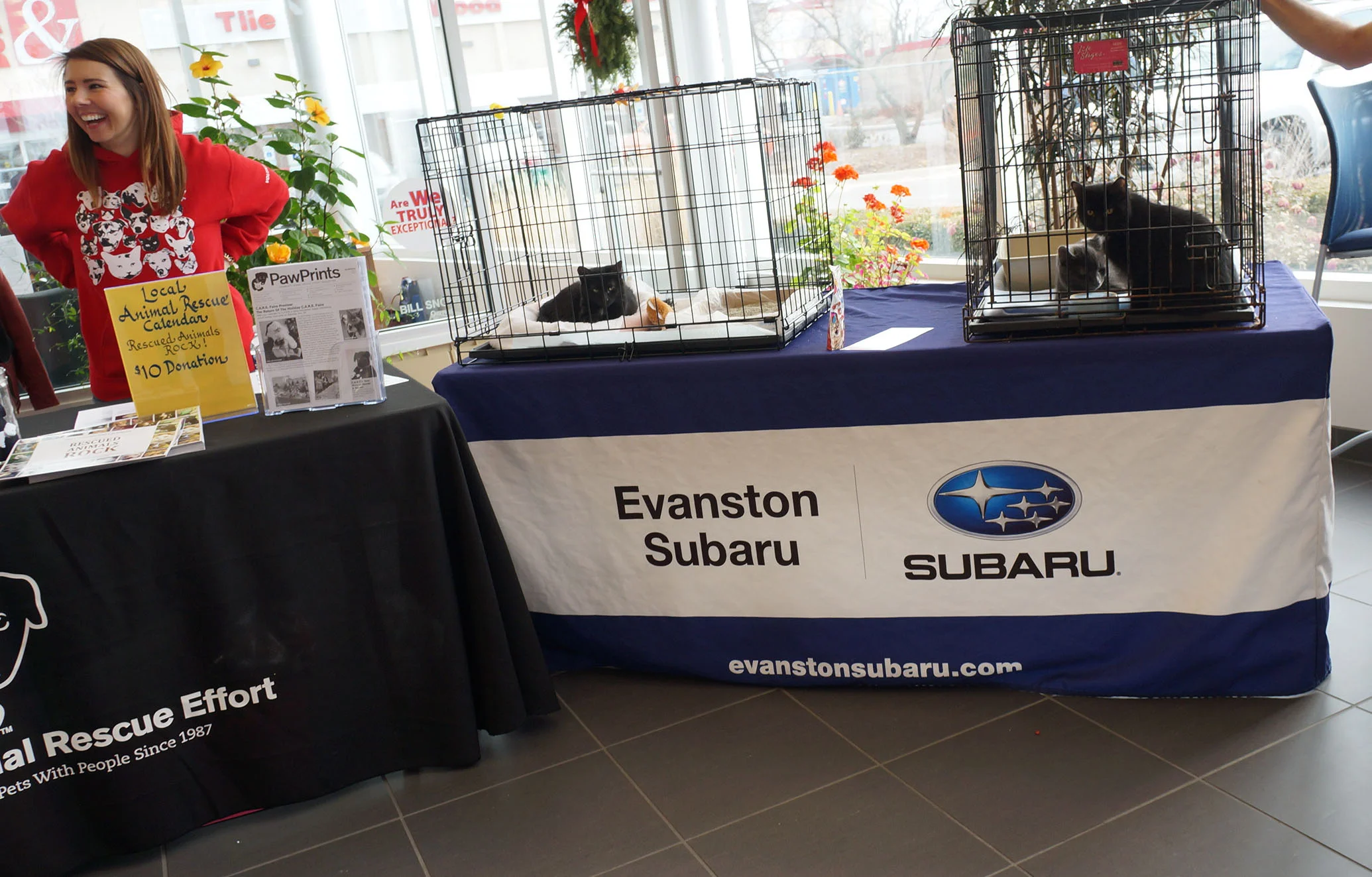 subaruadoptathon1.jpg