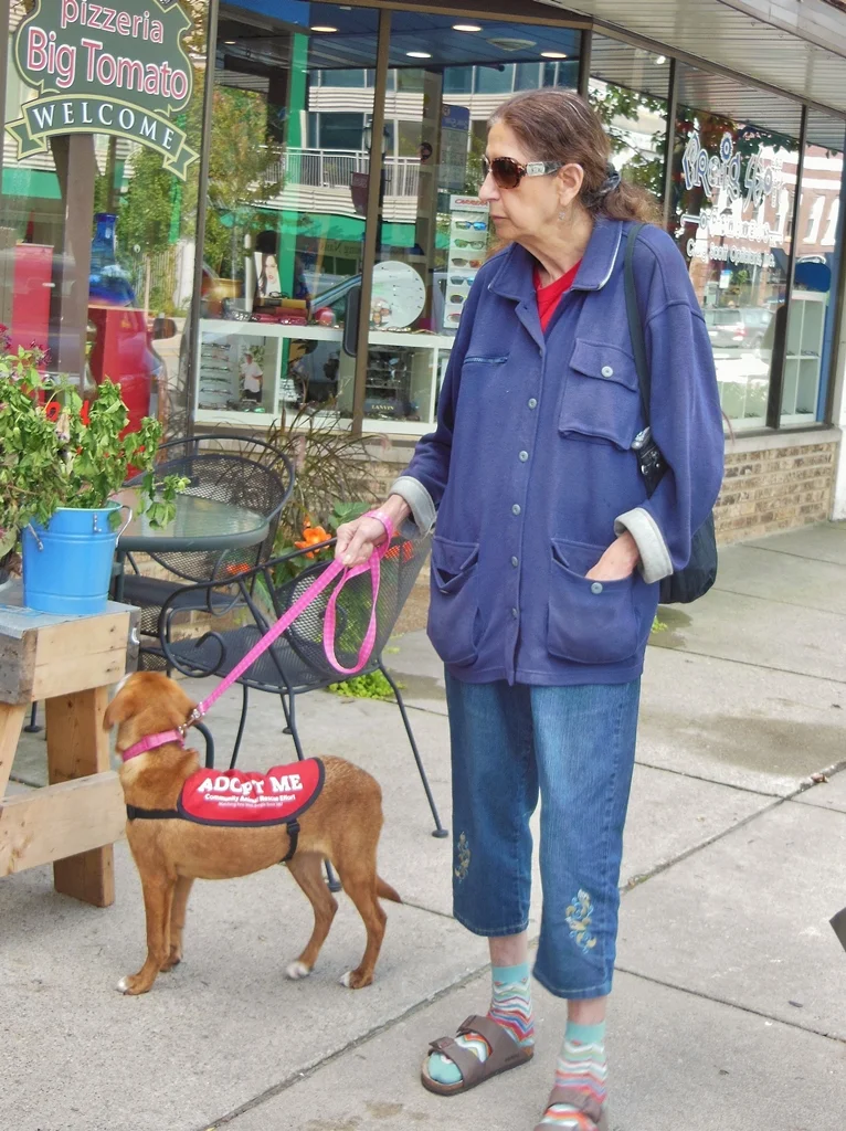Pauline on dog walking duty at an adoption event.
